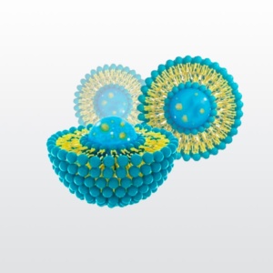 liposome