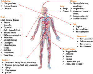 các con đường đưa thuốc vào cơ thể
