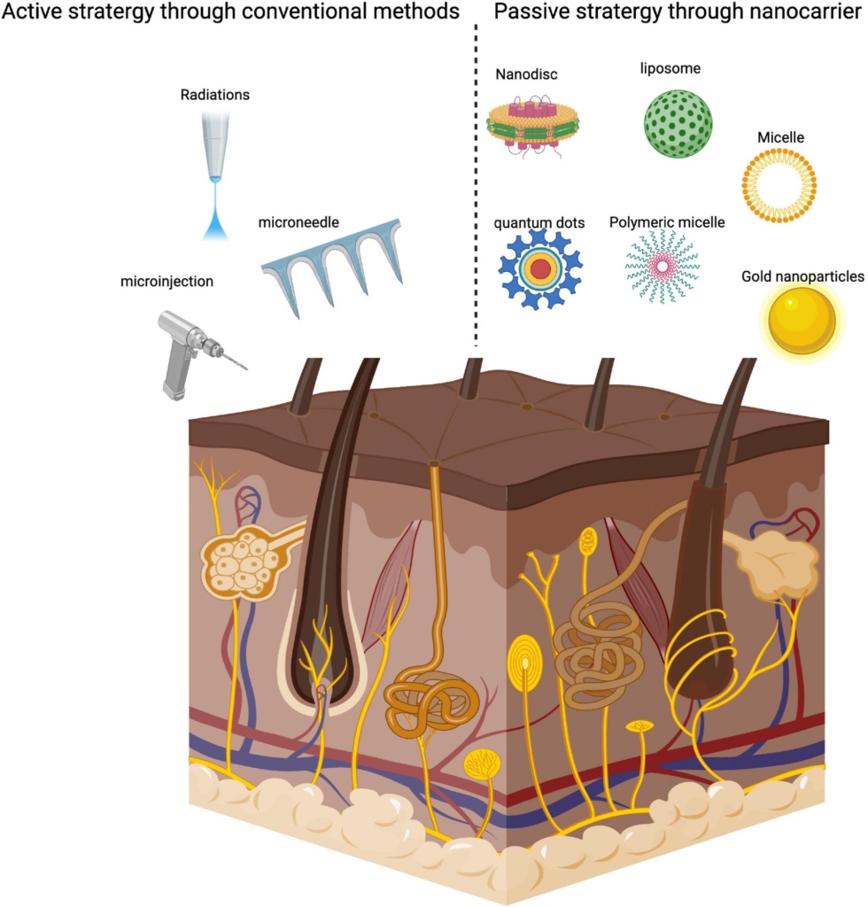 Thanh Binh High Agri