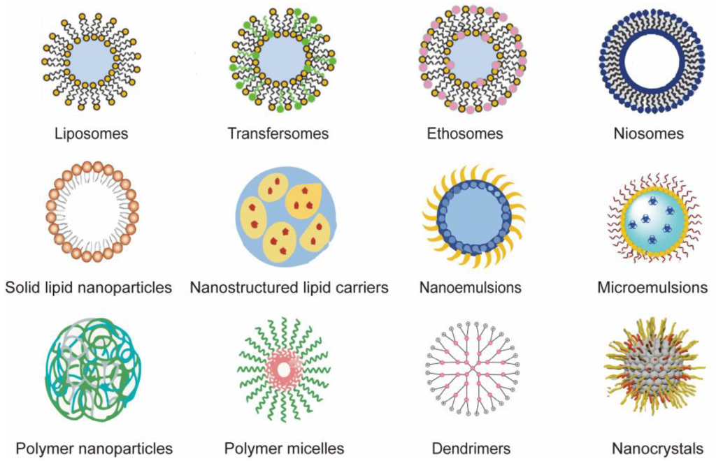 Các loại nano chất mang khác nhau được sử dụng làm phương tiện phân phối có kiểm soát để điều trị các bệnh về da