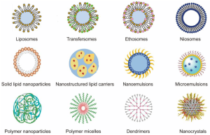 Các loại nano chất mang khác nhau được sử dụng làm phương tiện phân phối có kiểm soát để điều trị các bệnh về da