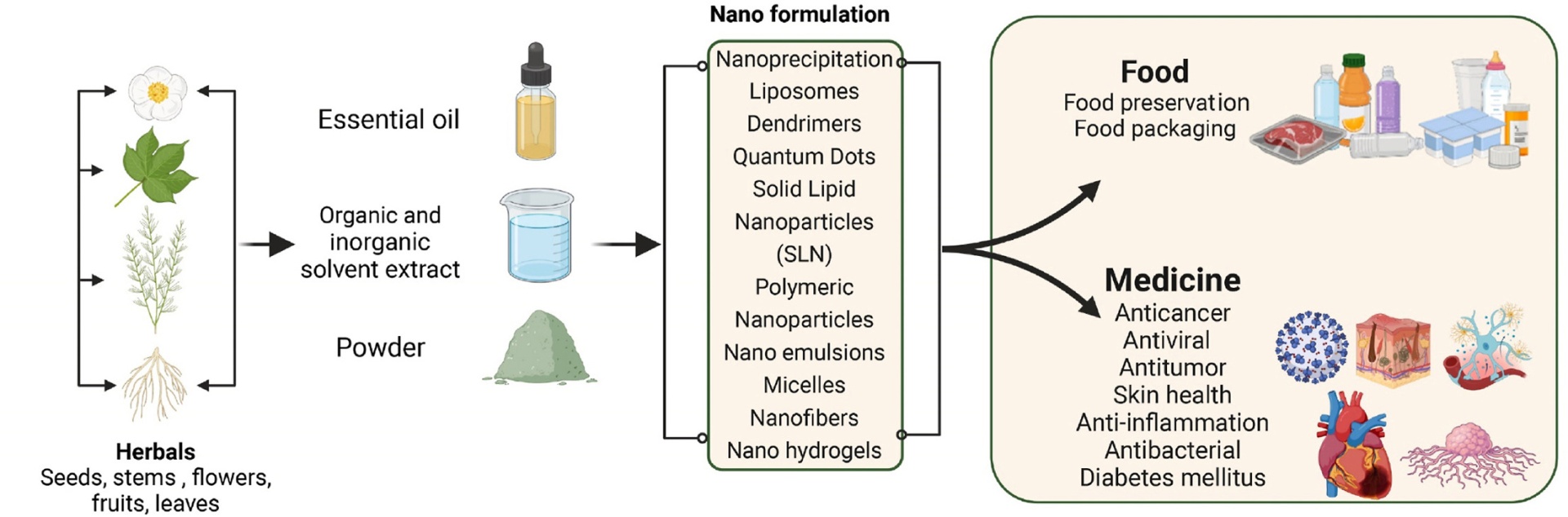 Sự kết hợp của thảo dược và Nano - Nanoherbals