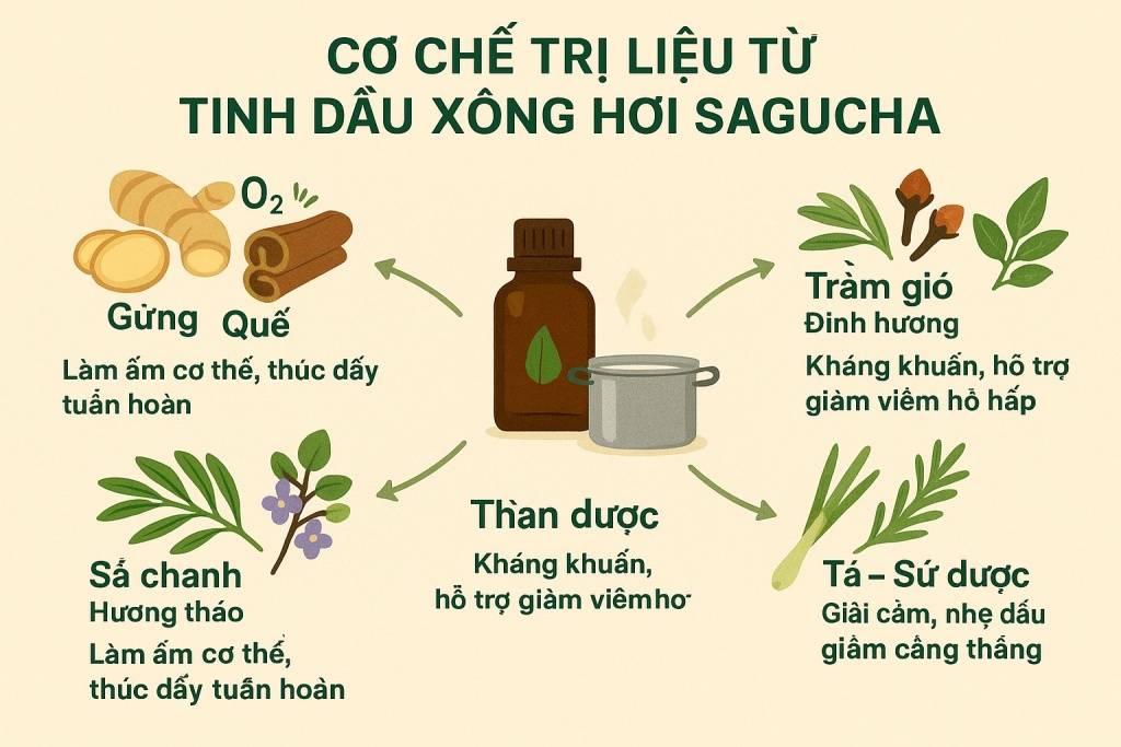 sagucha