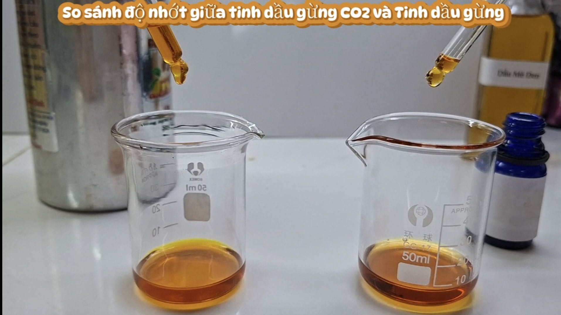 Phân biệt tinh dầu gừng chiết xuất CO2