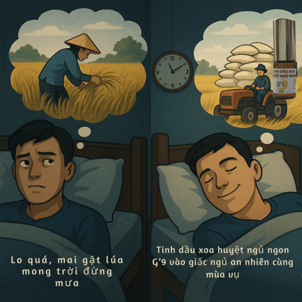 sagucha