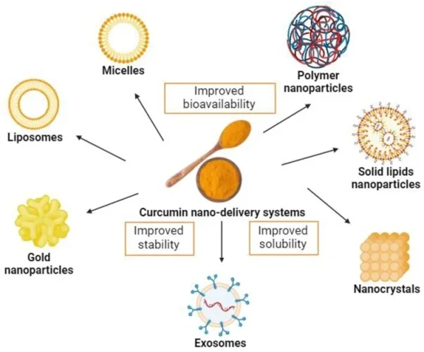 Curcumin nano-delivery systems