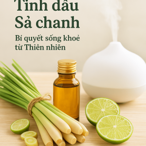 Tinh dầu sả chanh - bí quyết sống khỏe từ thiên nhiên