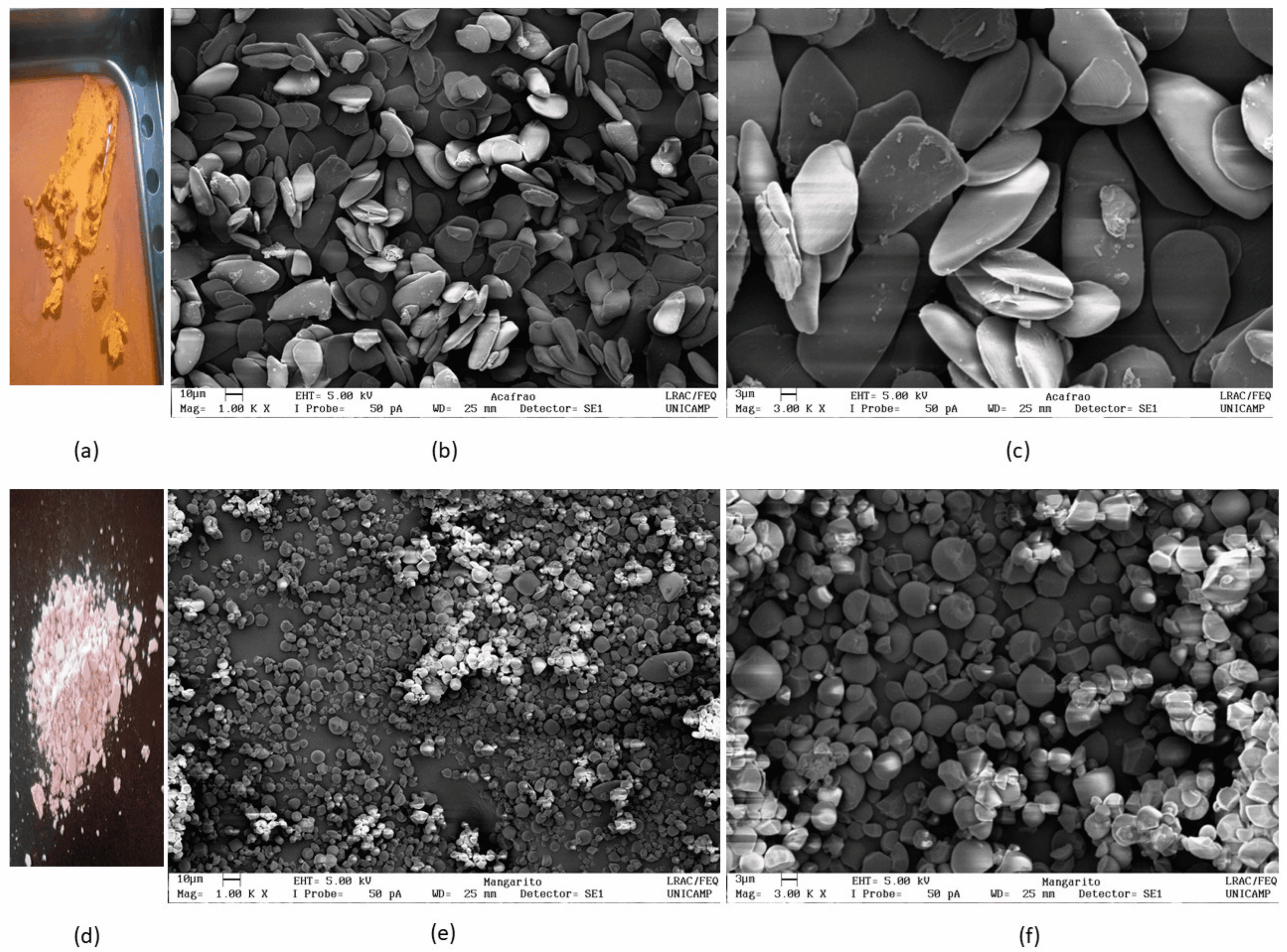 Ảnh-chụp-và-kính-hiển-vi-điện-tử-quét-(sem)-của-tinh-bột-nghệ-(-curcuma-longa-l_optimized.)-(-a-–-c-)-và-mangarito-(-xanthosoma-riedelianum-)
