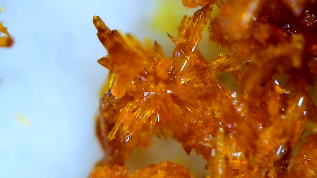 Curcumin Crystals - Tinh thể Curcumin của công ty CP NN CNC Thanh Bình