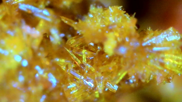 Curcumin Crystals Tinh thể Curcumin của công ty CP NN CNC Thanh Bình