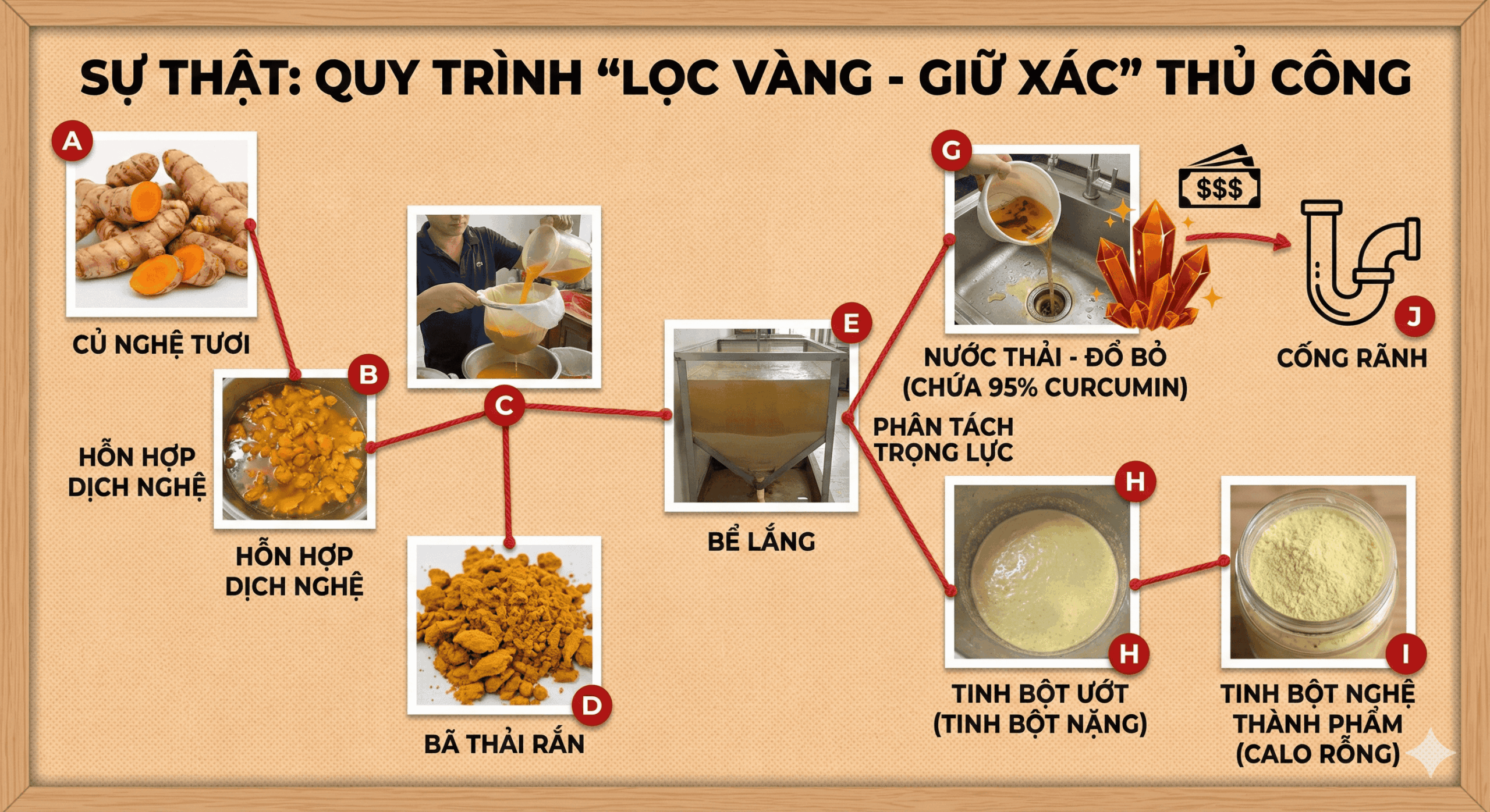 Quy trình sản xuất Tinh bột nghệ