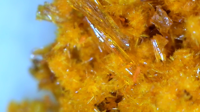 cấu trúc tinh thể Curcumin