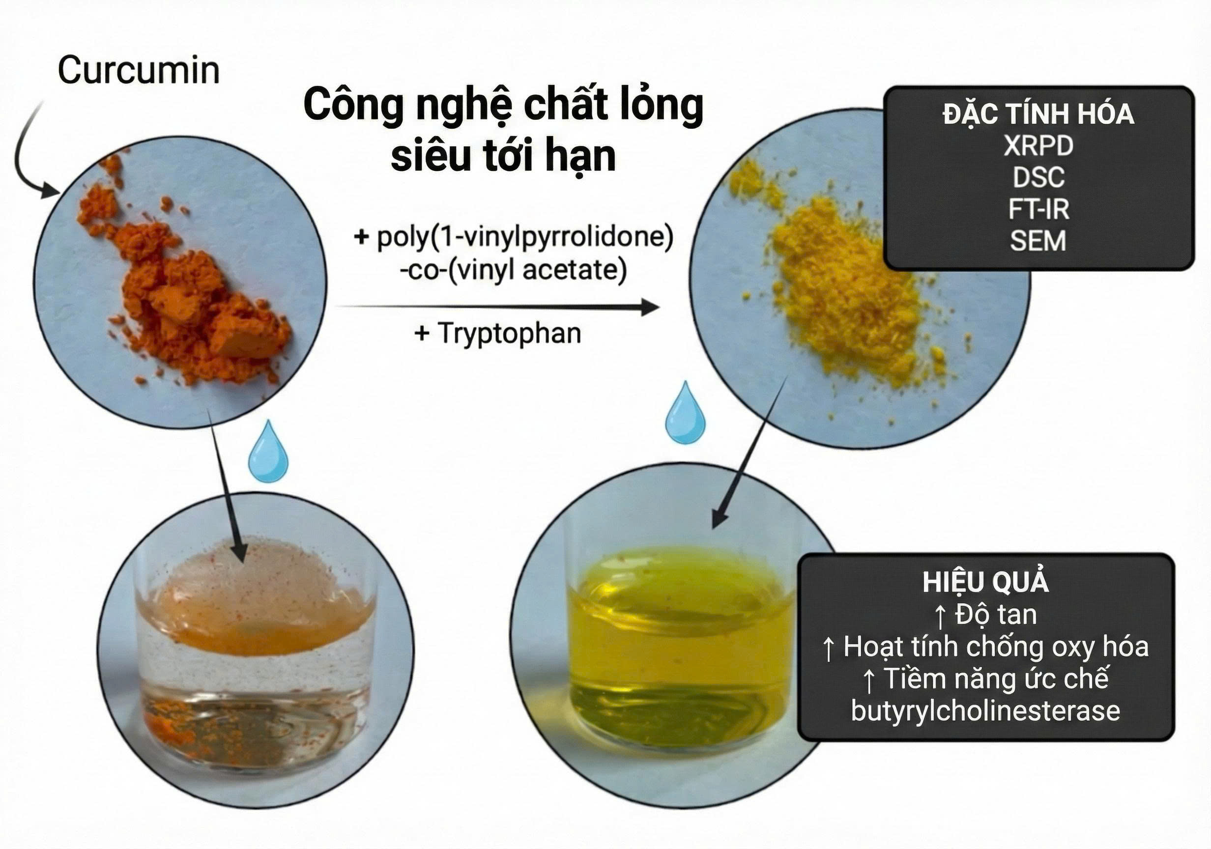 so sánh curcumin và rắn nano curcumin