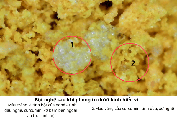 Bột nghệ sau khi phóng to dưới kính hiển vi