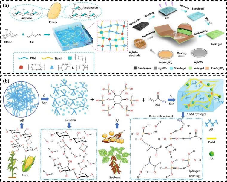 Cấu trúc mạng lưới hydrogel amylose từ tinh bột (amylose gel network) – chính là nguyên nhân làm tăng độ nhớt và giữ nước trong dạ dày