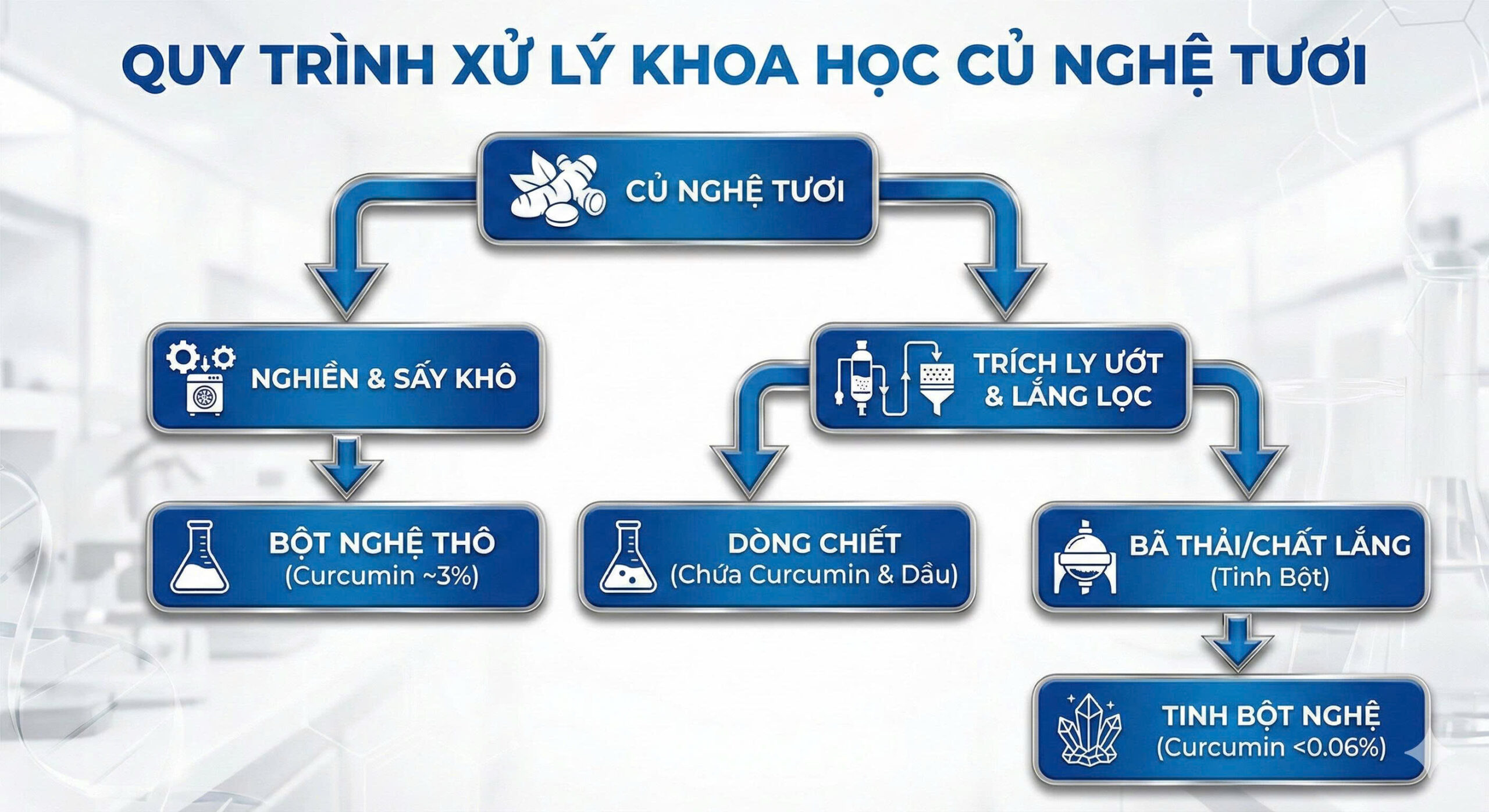 Quy trình sản xuất Tinh bột nghệ và Bột nghệ
