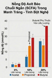 Hình minh họa y khoa mô tả các hạt tinh bột kháng RS3 từ nghệ đi vào đường ruột, được vi khuẩn Ruminococcus bromii phân giải, sau đó lợi khuẩn Bifidobacterium và Faecalibacterium prausnitzii chuyển hóa thành các axit béo chuỗi ngắn (Butyrate, Acetate, Propionate) để nuôi dưỡng niêm mạc ruột.