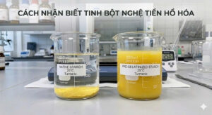Cách Nhận Biết Tinh Bột Nghệ Tiền Hồ Hóa