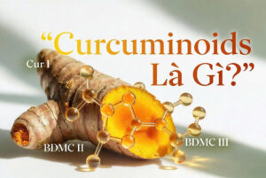 Curcuminoids là gì