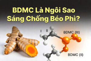 So Sánh Hoạt Tính Chống Béo Phì Của Curcumin I, DMC và BDMC