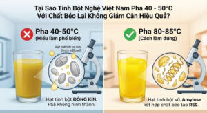 Tại Sao Tinh Bột Nghệ Việt Nam Pha 40 50°C Với Chất Béo Lại Không Giảm Cân Hiệu Quả