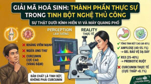 Thành phần trong tinh bột nghệ là gì