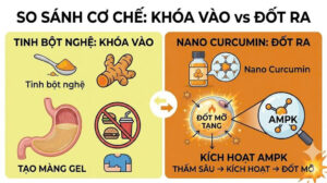 Tinh Bột Nghệ Và Nano Curcumin Loại Nào Giảm Cân Tốt Hơn