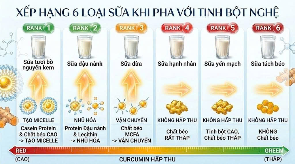 Xếp hạng 6 loai sữa pha với tinh bột nghệ