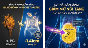 Bằng chứng lâm sàn giảm mỡ nội tạng của Curcumin III ( BDMC) so với Tinh bột nghệ