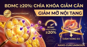 Chọn Nano Curcumin để giảm cân không chỉ là chọn công nghệ Nano, mà còn là chọn tỷ lệ hoạt chất lõi