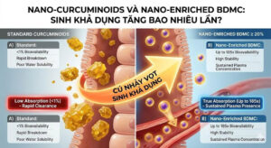 NANO CURCUMINOIDS VÀ NANO ENRICHED BDMC SINH KHẢ DỤNG TĂNG BAO NHIÊU LẦN
