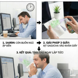 Tỉnh táo làm việc với tinh dầu khẩu trang Sagucha