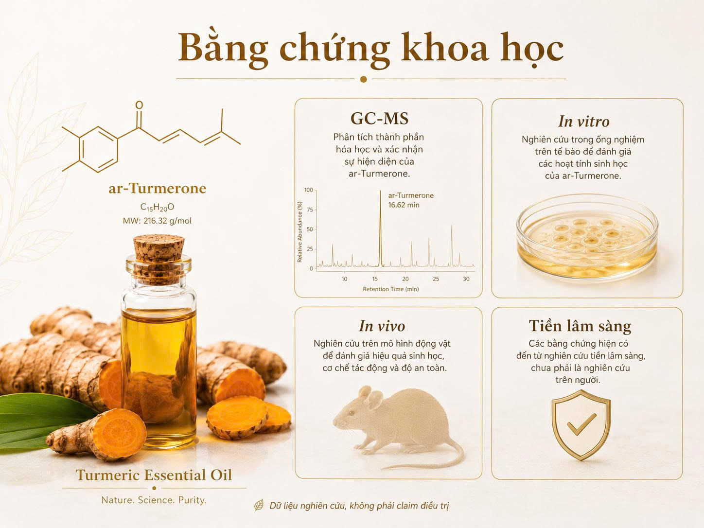 Bằng chứng khoa học về ar-Turmerone gồm GC-MS, nghiên cứu in vitro, in vivo và dữ liệu tiền lâm sàng.