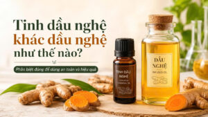 Tinh dầu nghệ và dầu nghệ đặt cạnh củ nghệ tươi, minh họa sự khác nhau giữa tinh dầu nghệ và dầu nghệ ngâm.