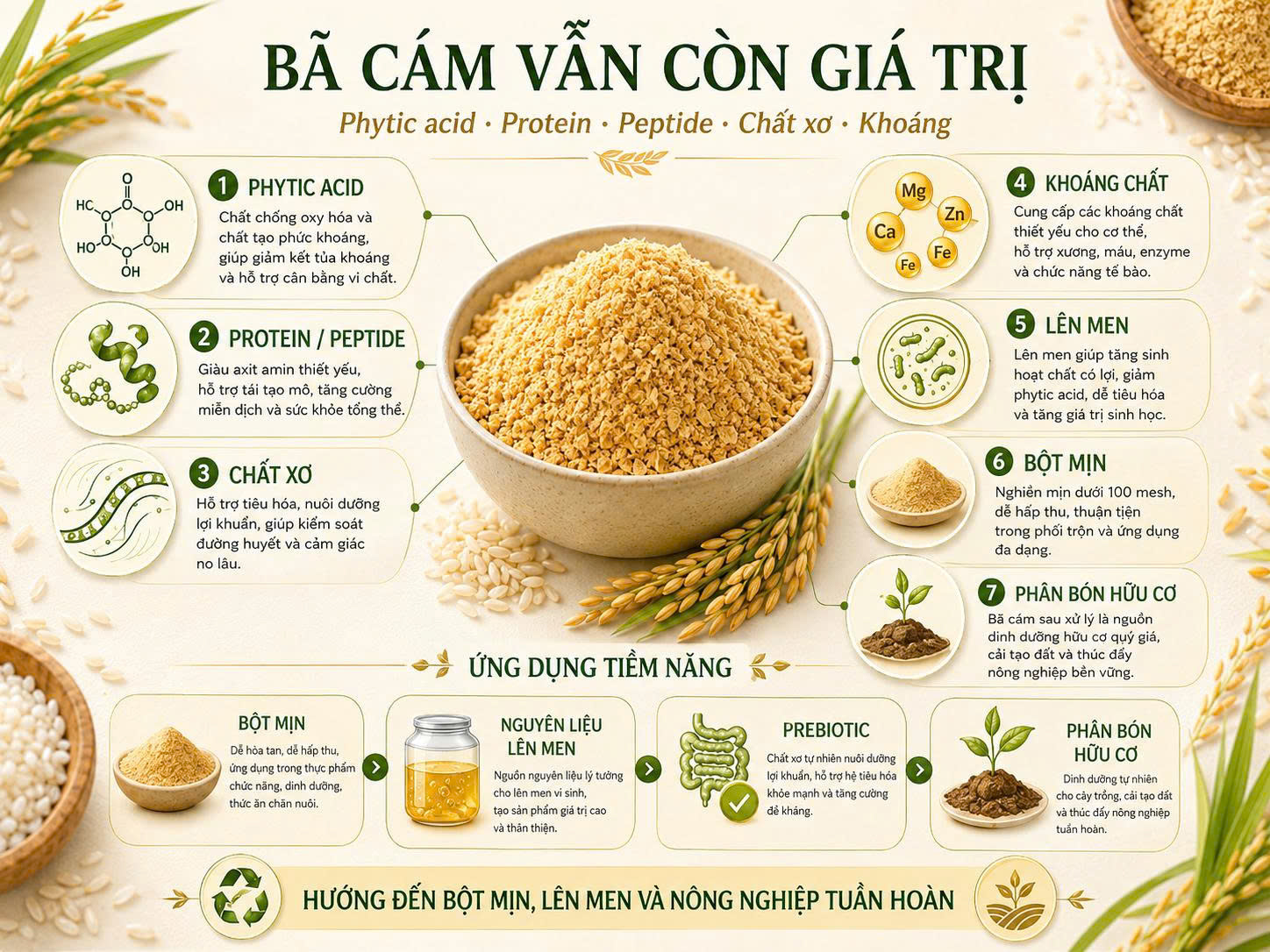 Bã cám gạo sau xử lý vẫn còn nhiều nhóm giá trị để khai thác Infographic bã cám gạo sau xử lý vẫn còn phytic acid, protein, peptide, chất xơ, khoáng, bột mịn, nguyên liệu lên men, prebiotic và phân bón hữu cơ.