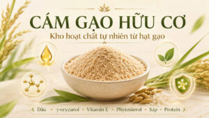 Cám gạo hữu cơ trong bát cùng hạt lúa, giọt dầu và biểu tượng hoạt chất tự nhiên từ hạt gạo.
