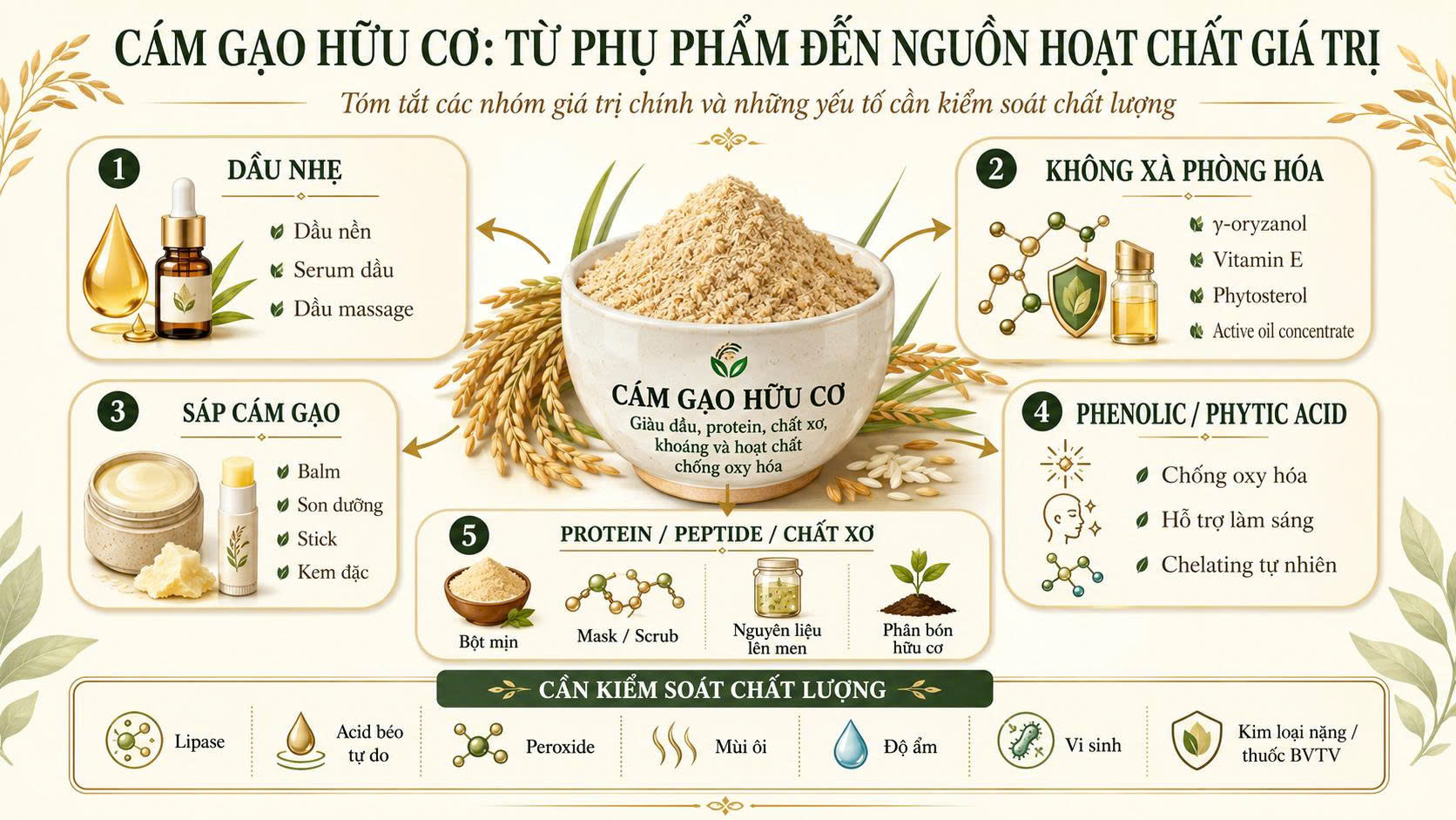 Infographic cám gạo hữu cơ từ phụ phẩm đến nguồn hoạt chất giá trị, gồm dầu nhẹ, nhóm không xà phòng hóa, sáp cám gạo, phenolic, phytic acid, protein, peptide và chất xơ.