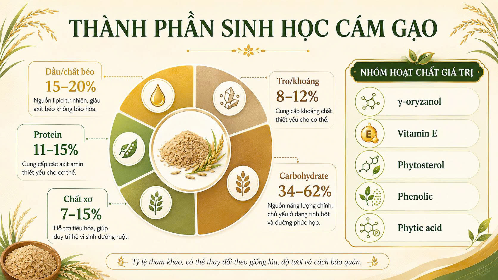Infographic thành phần sinh học của cám gạo gồm dầu, protein, chất xơ, khoáng, carbohydrate, γ-oryzanol, vitamin E, phytosterol, phenolic và phytic acid.