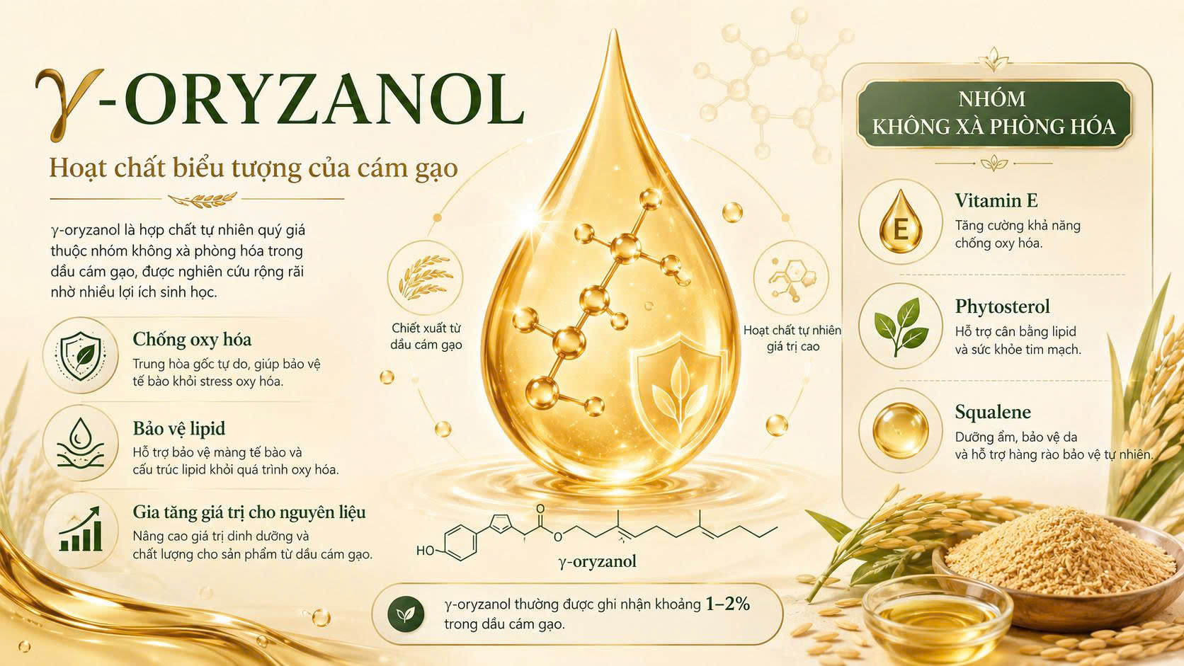 Giọt dầu cám gạo cùng biểu tượng γ-oryzanol, vitamin E, phytosterol và squalene trong nhóm không xà phòng hóa.