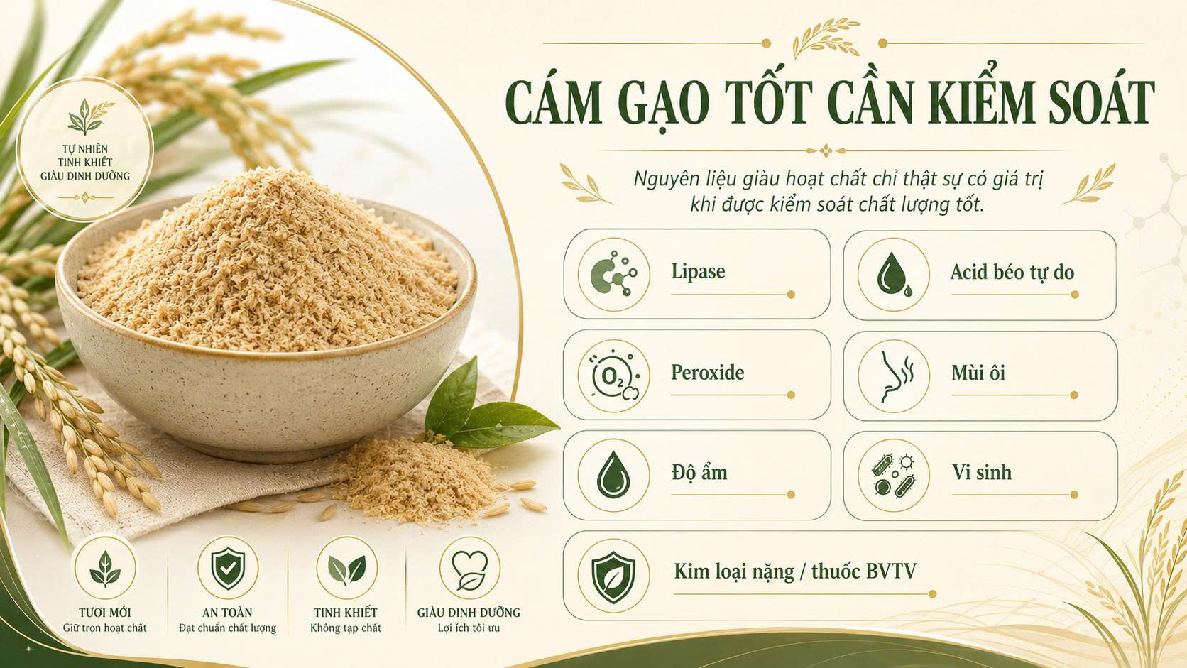 Infographic kiểm soát chất lượng cám gạo với các yếu tố lipase, acid béo tự do, peroxide, mùi ôi, độ ẩm, vi sinh, kim loại nặng và thuốc bảo vệ thực vật.