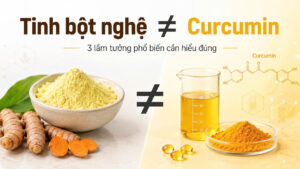 Tinh bột nghệ không phải curcumin, minh họa 3 lầm tưởng phổ biến cần hiểu đúng