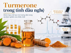 Tinh dầu nghệ màu cam hổ phách, củ nghệ tươi, mô hình phân tử ar-Turmerone và biểu đồ GC-MS minh họa nhóm Turmerone trong tinh dầu nghệ.