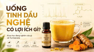 Ly đồ uống nghệ wellness, chai tinh dầu nghệ, củ nghệ tươi, biểu đồ GC-MS và mô hình ar-Turmerone minh họa tinh dầu nghệ khi dùng trong đồ uống.