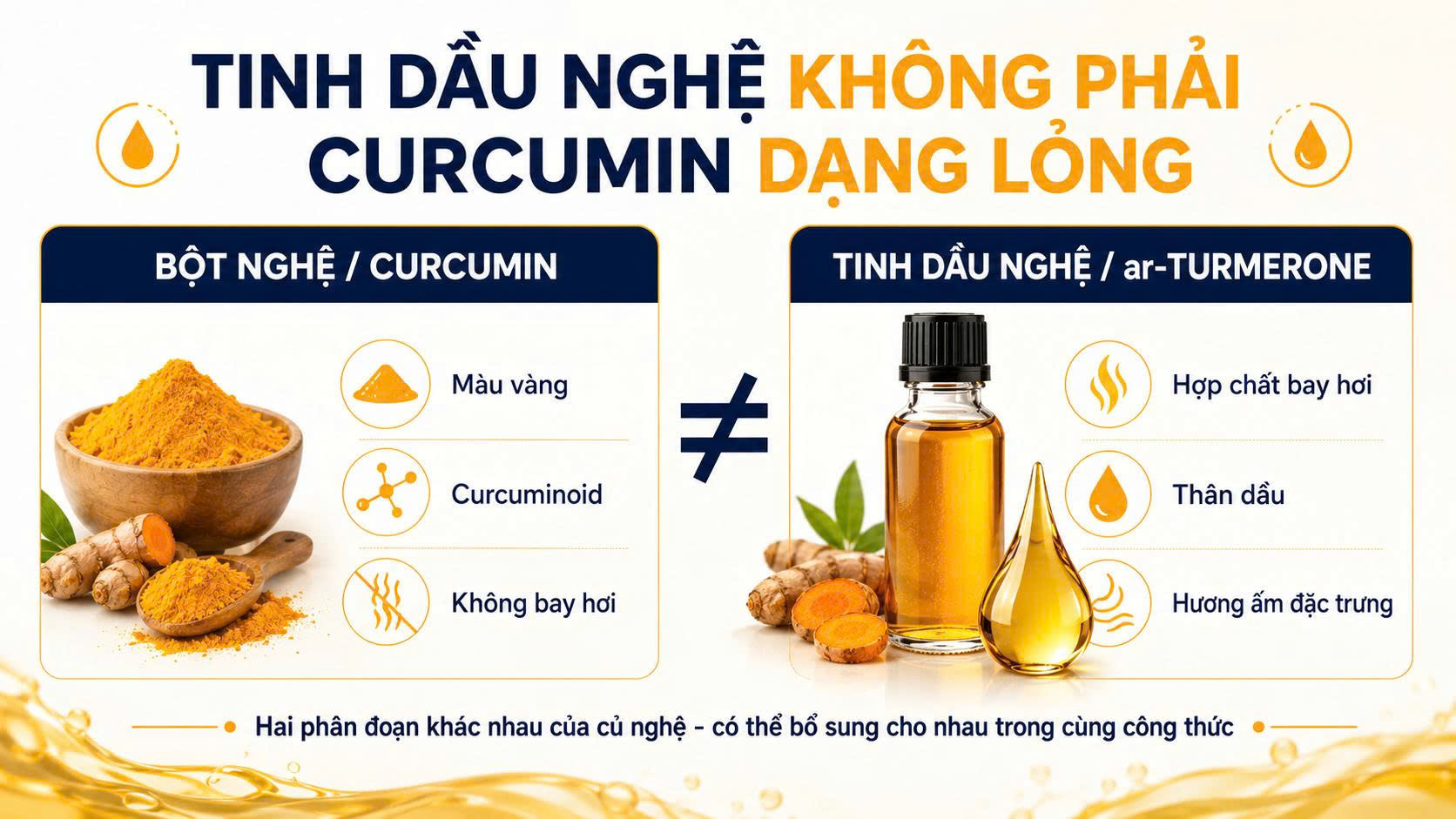 So sánh bột nghệ Curcumin và tinh dầu nghệ ar-Turmerone, hai phân đoạn khác nhau của củ nghệ trong công thức đồ uống.