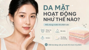 Da mặt hoạt động như thế nào, minh họa làn da khỏe cùng hàng rào bảo vệ, bã nhờn, giữ ẩm và tác động môi trường