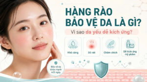 Hàng rào bảo vệ da là gì, minh họa da yếu dễ khô căng, đỏ rát, châm chích và kích ứng mỹ phẩm