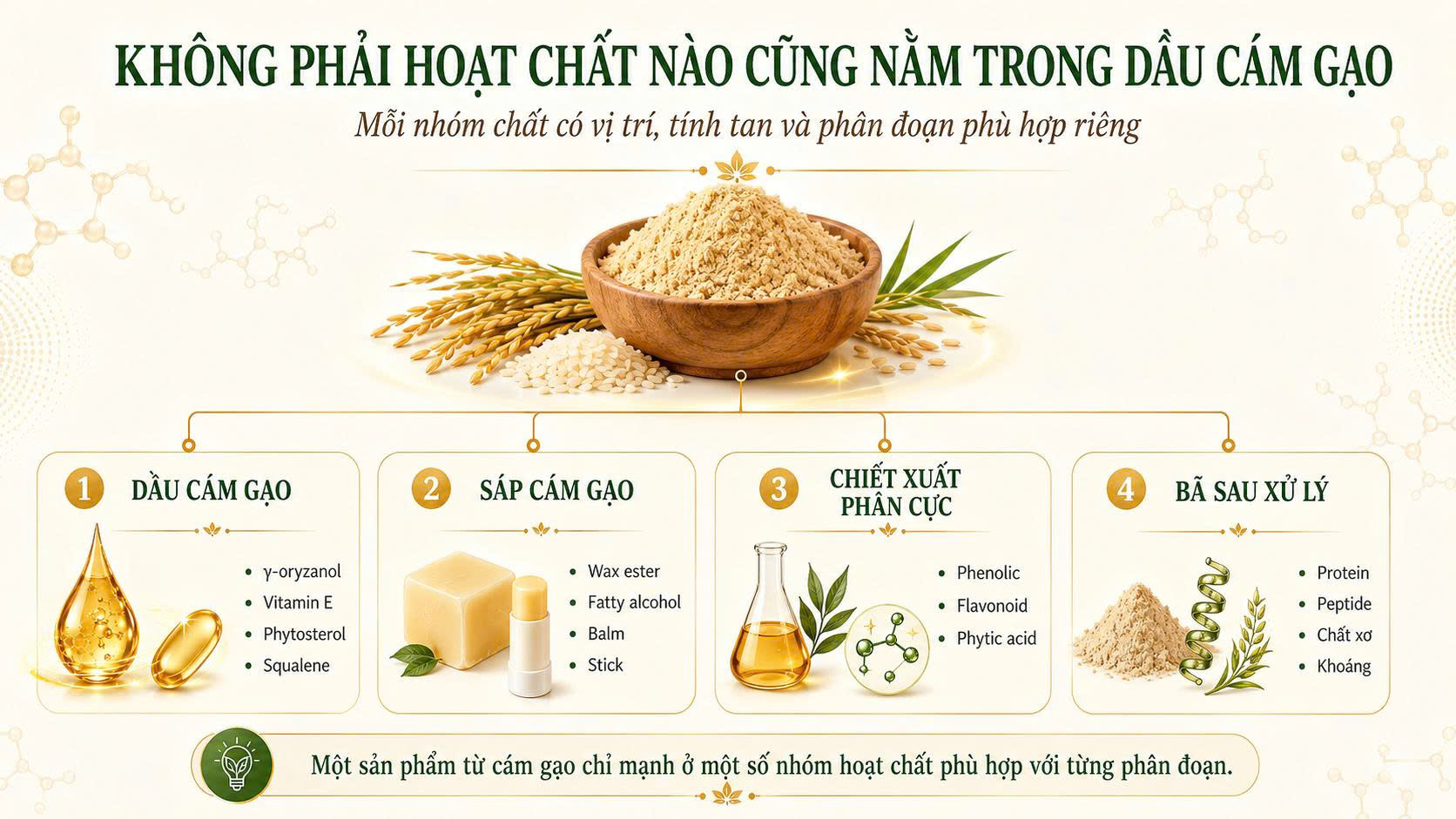 Sơ đồ cho thấy không phải hoạt chất nào cũng nằm trong dầu cám gạo, gồm dầu cám gạo, sáp cám gạo, chiết xuất phân cực và bã sau xử lý.