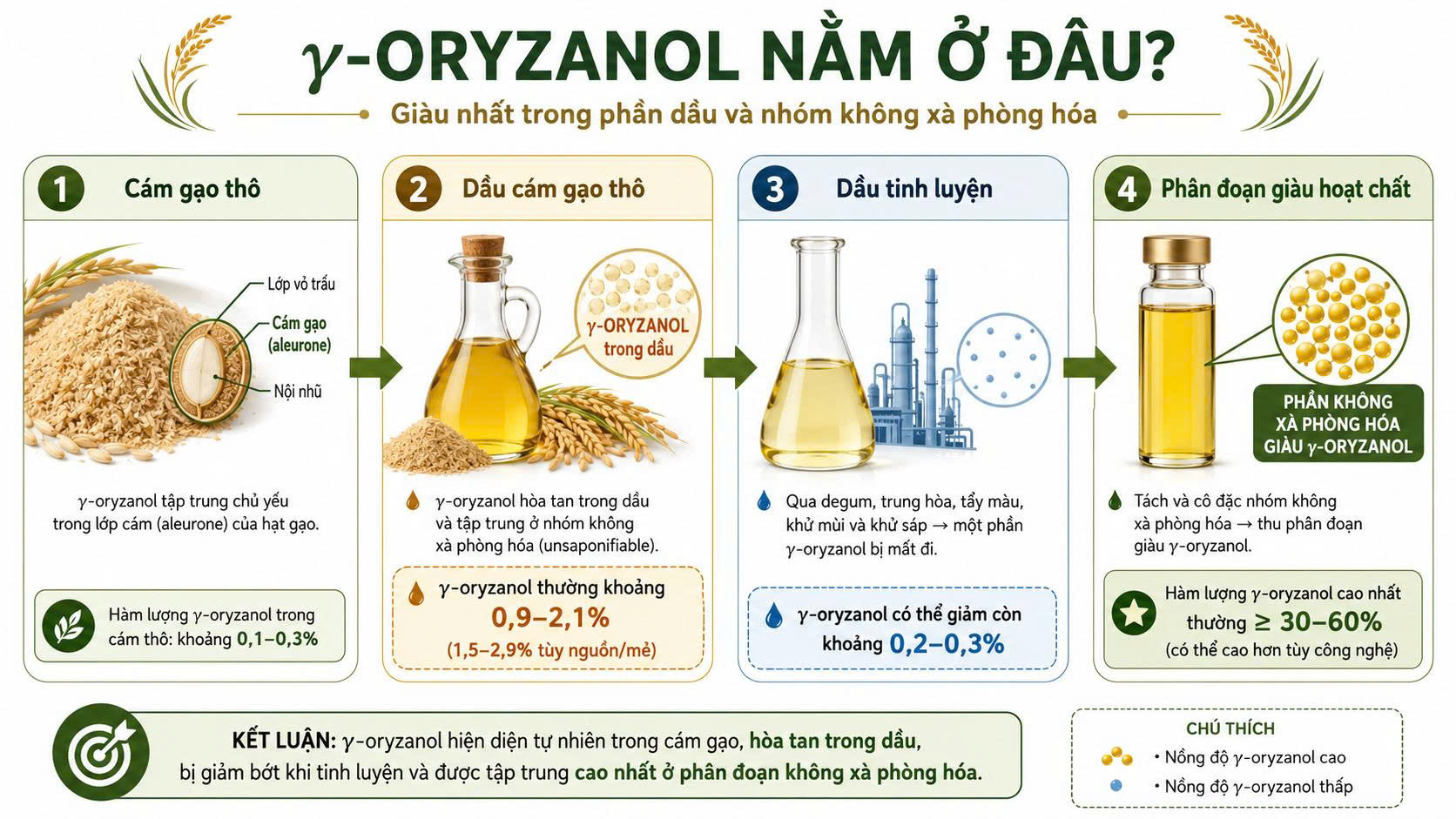 Sơ đồ γ-oryzanol nằm chủ yếu trong cám gạo, dầu cám gạo thô và phân đoạn không xà phòng hóa giàu hoạt chất.
