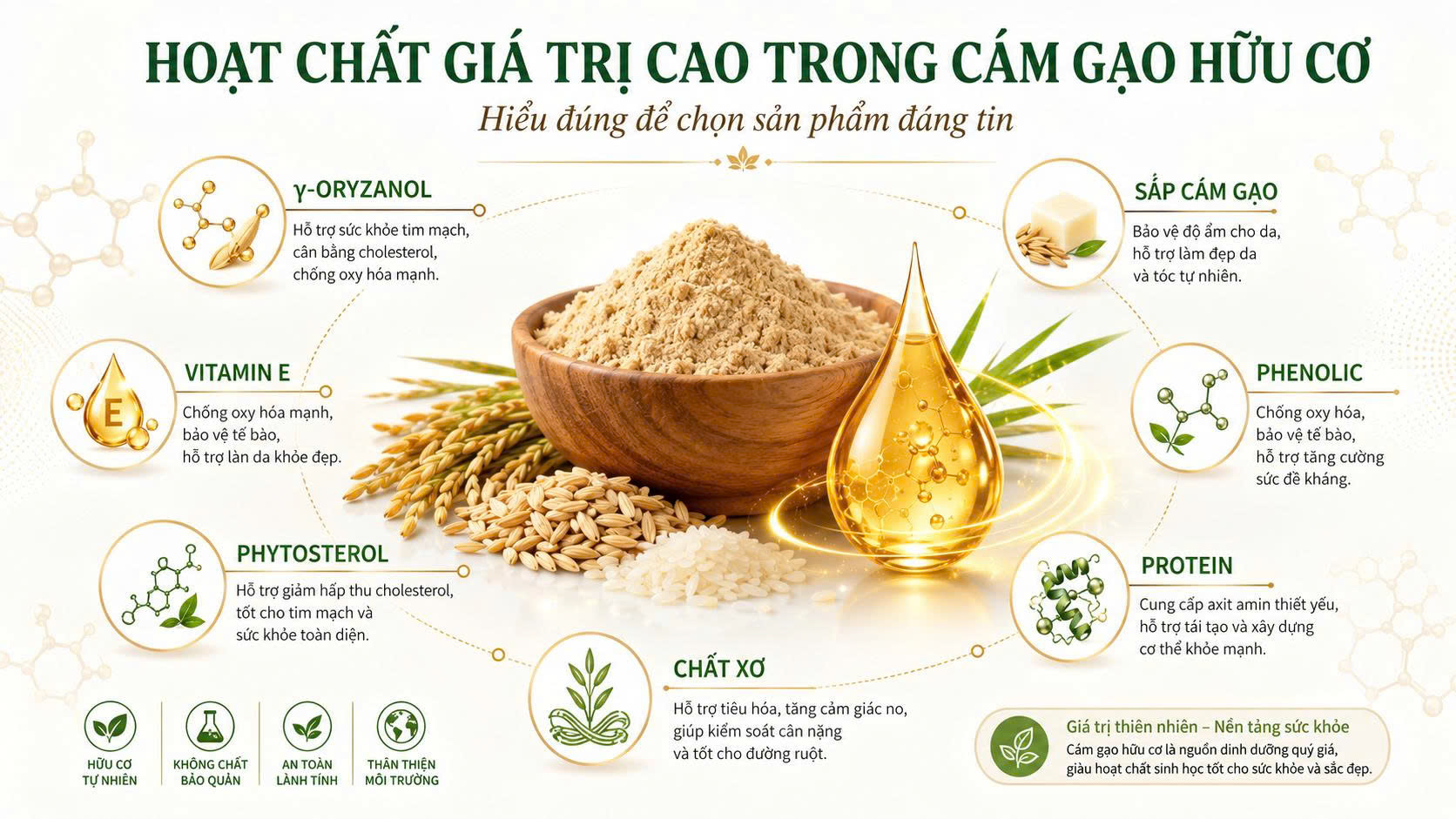 Infographic hoạt chất giá trị cao trong cám gạo hữu cơ, gồm γ-oryzanol, vitamin E, phytosterol, sáp cám gạo, phenolic, protein và chất xơ.