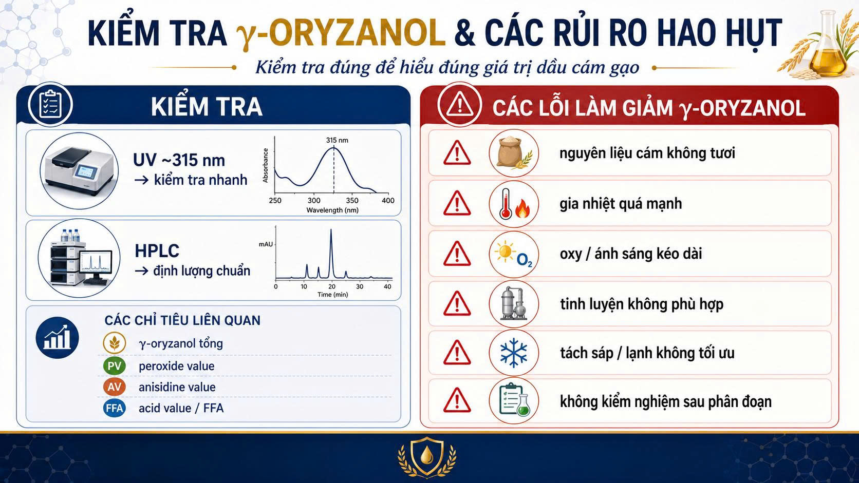 Infographic kiểm tra γ-oryzanol bằng UV khoảng 315 nm và HPLC, đồng thời liệt kê các rủi ro làm giảm γ-oryzanol như cám không tươi, gia nhiệt mạnh, oxy, ánh sáng, tinh luyện không phù hợp và tách sáp không tối ưu.